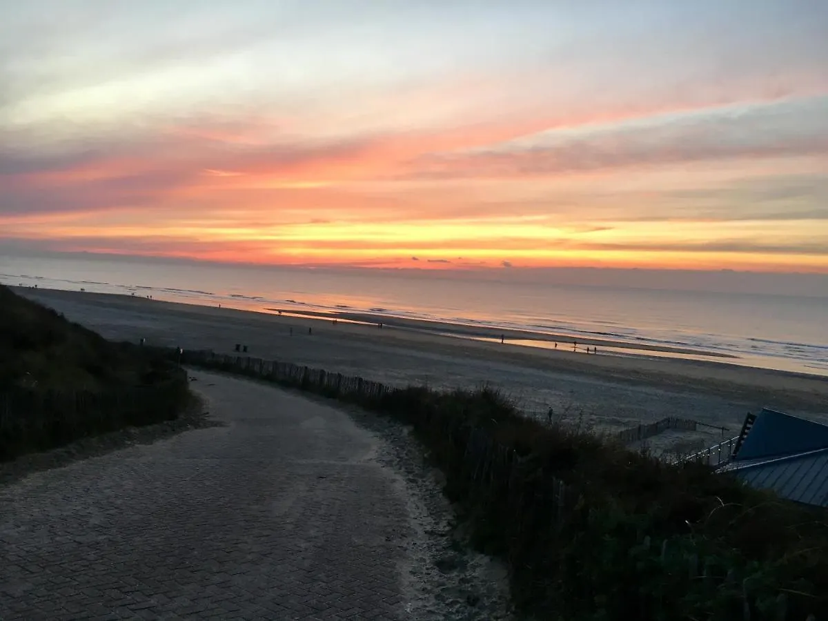The Palmtree Apartamento Zandvoort